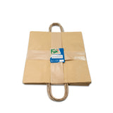 Fun Brown Carry Bag with Twisted Handle 29x29x15cm pack of 10