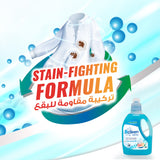 Blceen Promopack Fabric Softner 2L  and Liquid Detergent 2L