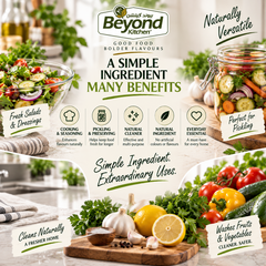 Beyond Kitchen White Vinegar 1 Galon [1pc]