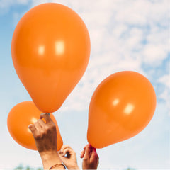 Fun Balloons 10in Citrus [20pcs x 1pkt]