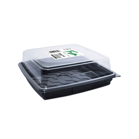 Fun® Plastic Black Square Containers 11x11cm with Clear Dome Lids [5pcs x 1pkt]