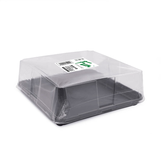 Fun® Plastic Clear Container279x279x80mm with Flat PET Lids [5pcs x 1pkt]