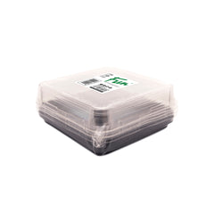 Fun® Plastic Clear Container 232x232x40mm with Flat PET Lids [5pcs x 1pkt]