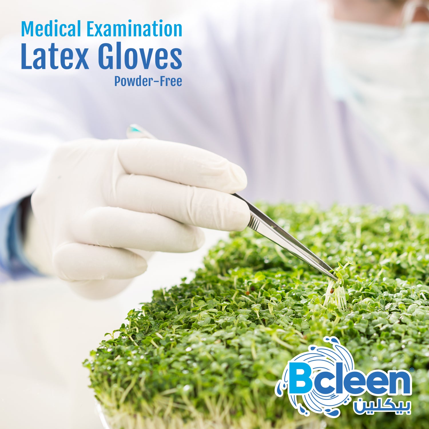 Bcleen® Latex Non Powdered Disposable Gloves for Medical Examination, Powder Free, Pack of 100