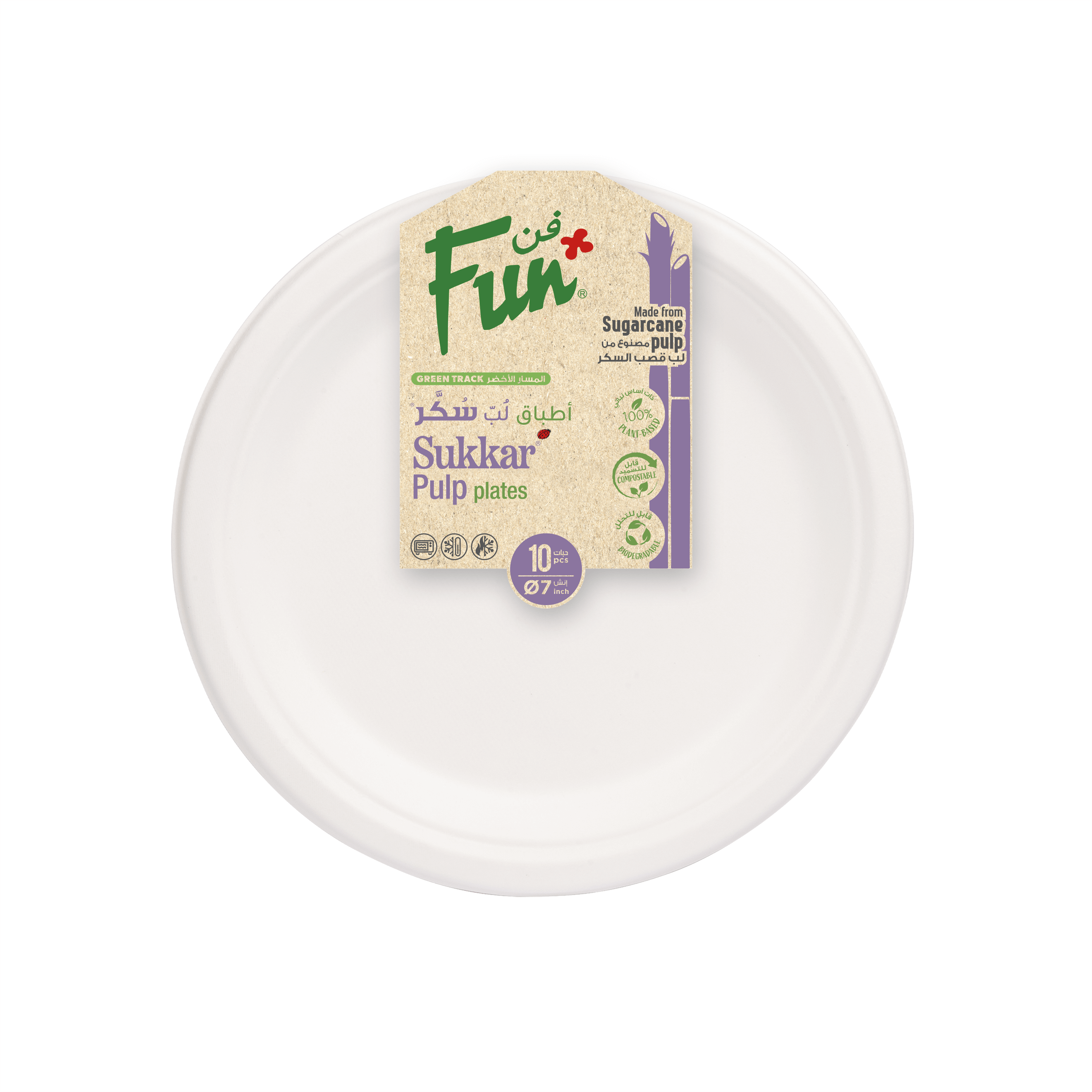 Fun® Everyday Biodegradable Moulded Fibre Plate -10 pcs