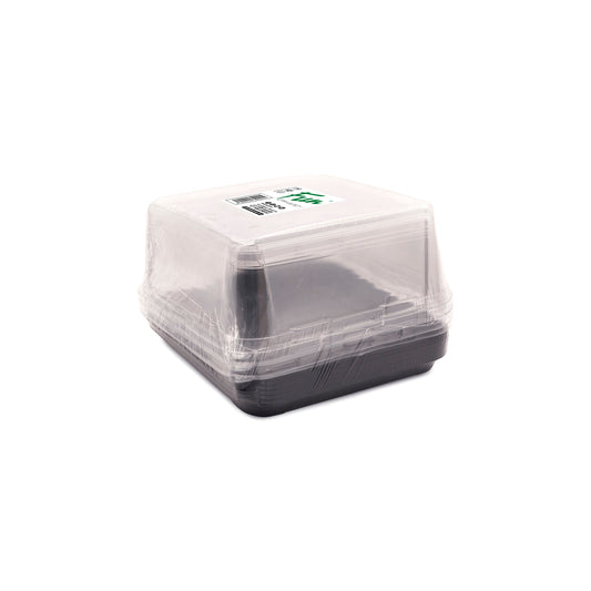 Fun® Plastic Clear Container 210x210x80mm with Flat PET Lids [5pcs x 1pkt]
